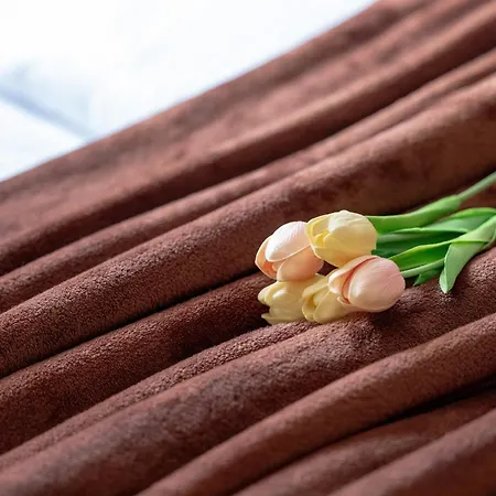 Zielona Okolica W Poblizu Rzeki By Rent Like * Świnoujście